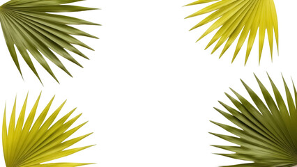 Fototapeta premium Four dried palm leaves PNG isolated on transparent background, tropical foliage elements for design and decoration, botanical arrangement