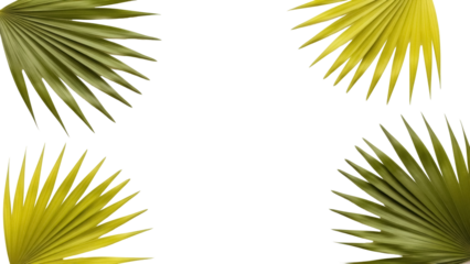 Four dried palm leaves PNG isolated on transparent background, tropical foliage elements for design and decoration, botanical arrangement