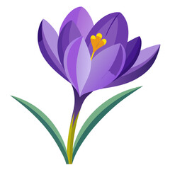 Naklejka premium crocus flower on white background