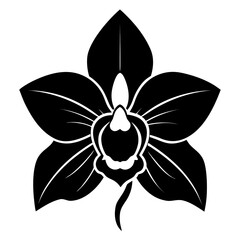 black and white flower