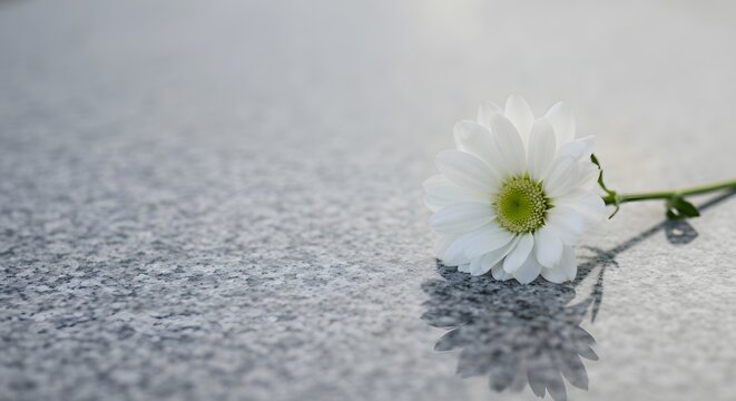 A symbolic tribute placed on granite surface