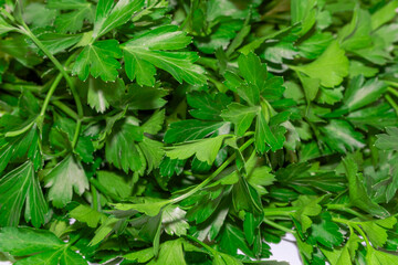 Detailed macro shot of freshly cut Italian parsley. The image showcases the vibrant green texture and leaf shapes, creating a natural organic pattern. Suitable for food packaging design, culinary blog