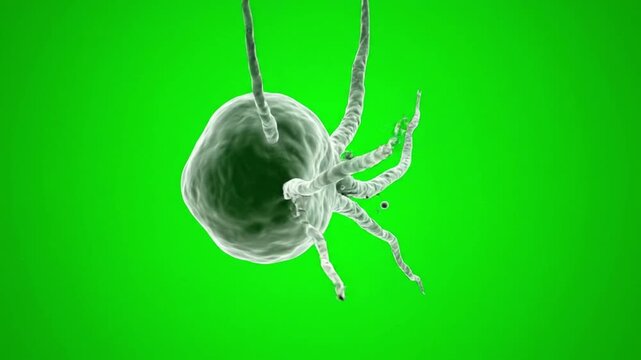 Close-up 3D rendering of a parasitic worm on a green background