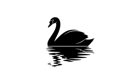 Black Swan Silhouette on Water Surface.