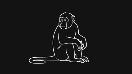 Monkey Sitting Alone in Simple Art.