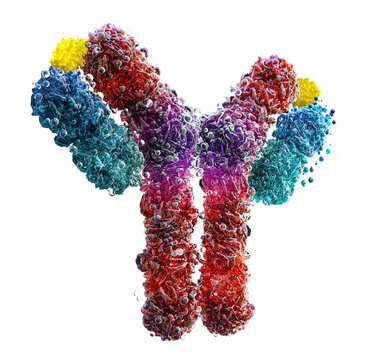 Conceptual 3D rendering of an antibody molecule (IgG) isolated on transparent background. Scientific visualization of immunoglobulin structure with antigen-binding sites. Biotechnology, immunology PNG