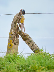 Close-up of a decaying, broken concrete fence post with exposed rebar, leaning against another shattered piece. Symbolizes ruin, neglect, and decay in a rural setting with green grass and sky.