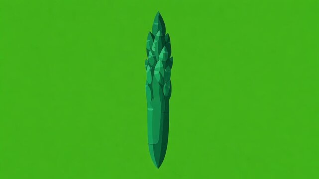 Asparagus Vegetable Illustration Animation on Green Screen Background