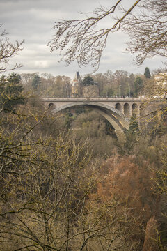 View of a majestic stone bridge gracefully arches over a verdant valley, framed by the delicate tracery of bare winter branches, Luxembourg City, Luxembourg.