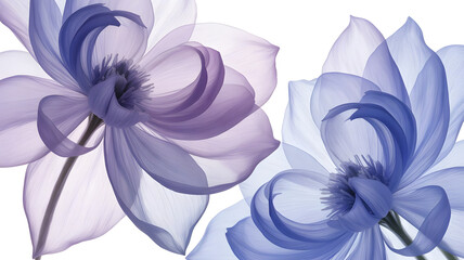 abstract floral background