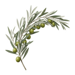 Green olives on a branch with leaves olive branch olive leaves