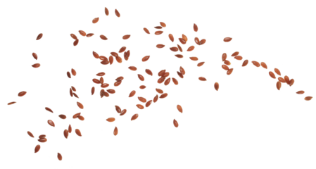 Flaxseed flying, linseed isolated on white background, clipping path, macro