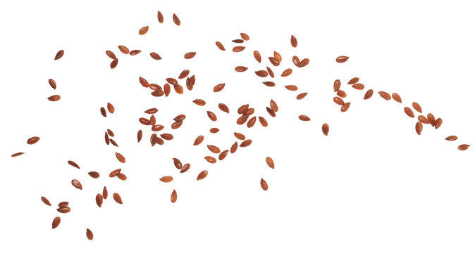 Flaxseed flying, linseed isolated on white background, clipping path, macro