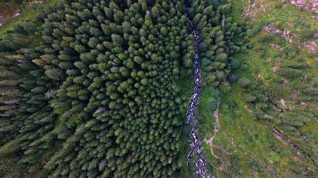 Aerial view of Balea waterfall flowing through lush green forest