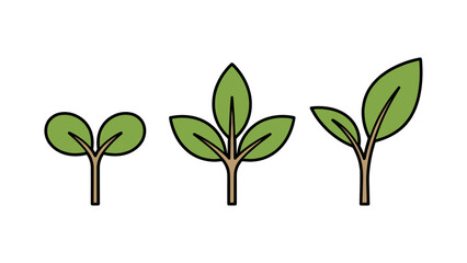 Evolution of a plant leaf progression from a simple pair of leaves to a complex three-leaflet structure, illustrating botanical growth and structural development.