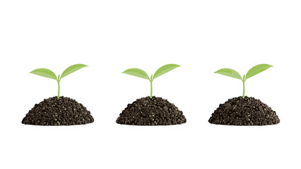 Three young plant seedlings emerging from rich dark soil mounds, symbolizing new life, growth, and the beginning stages of plant development in nature.