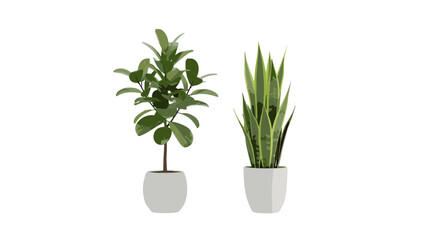 Two potted houseplants, a lush Fiddle Leaf Fig and a resilient Snake Plant, showcased in white pots for interior decor and natural office environment inspiration.