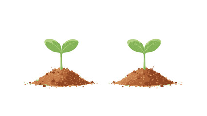 Two Young Seedlings Growing from Soil, New Life, Botanical Growth, Sustainable Farming