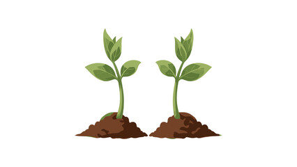 Seedling Growth: Two Young Plants Sprouting from Rich Soil, Symbolizing New Beginnings and Horticulture.