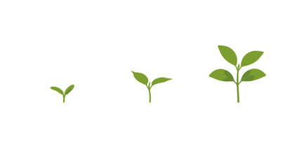 Seedling Growth Stages, Tiny Sprouts, Emerging Leaves, Botanical Development, Plant Life Cycle, Isolated Black Background, Early Stage Growth, Vegetation © Lua