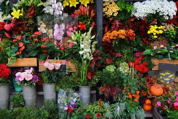 Florist shop in Rambla street, Barcelona. Flower shop choice with anthurium and chrysantemums.