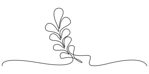 Minimalist, single-line drawing of a plant, likely a eucalyptus branch vector illustration