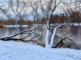 pond in the winter park