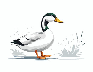 duck, goose in illustration in brush stroke painting,