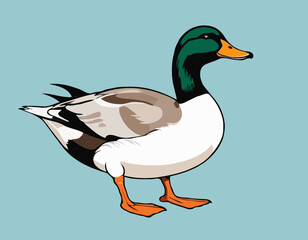 duck, goose in illustration in brush stroke painting,