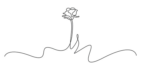 Minimalist single continuous line drawing of a rose. Single rose flower with its stem and a few leaves, all created using an unbroken line vector illustration