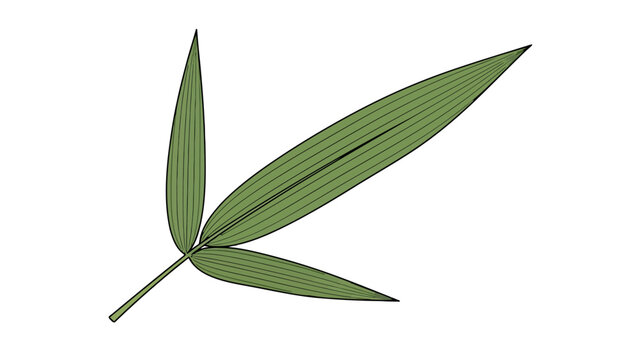 A stylized illustration of three green bamboo leaves on a white background