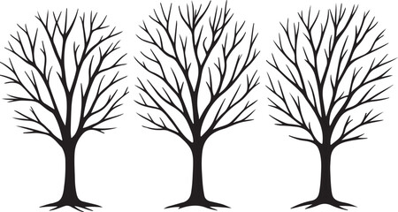 Fototapeta premium Three bare trees silhouette vector illustration, winter, nature
