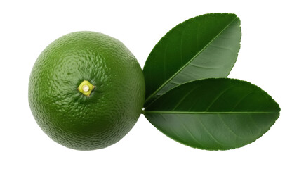 Fresh green lime with leaves isolated PNG, vibrant citrus fruit with textured skin and healthy ingredient for cooking and beverages on transparent background