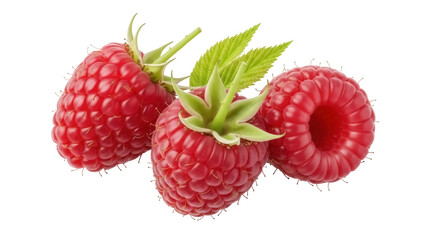 Three ripe raspberries PNG isolated on transparent background, delicious red fruit for healthy...