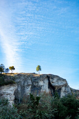 Lone green tree standing on top of a rocky cliff against a blue sky.