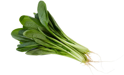 Obraz premium Fresh green leaves with roots, possibly spinach or bok choy, isolated on white background