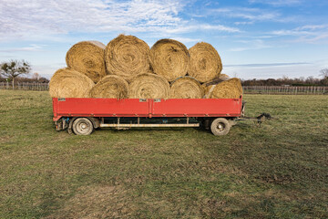 Ein roter Anh&auml;nger transportiert mehrere gro&szlig;e Heuballen auf einer Wiese.