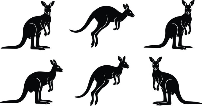 Kangaroo silhouettes set showing jumping and standing poses, Australian wildlife animal figures collection isolated on white background