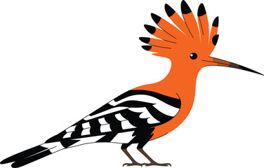 Orange Hoopoe Bird Vector Illustration With Distinctive Crest And Striped Black Wings © Monjurul