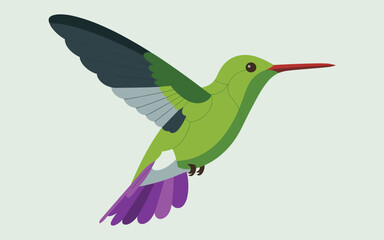 Obraz premium Green Hummingbird Vector Illustration With Purple Tail Wings Flying On Light Background