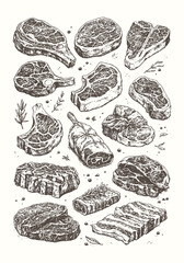 Hand Drawn Steak Meat Illustration Vector Set in Vintage Engraving Style, Black and White Raw Beef Cuts Collection for Food Design