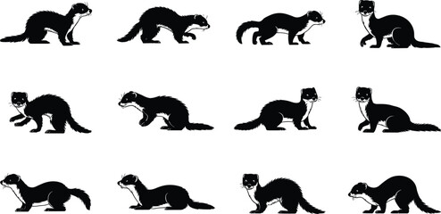 Fototapeta premium Weasel silhouette vector set, black and white poses, animal motion, crouch walk leap, flat illustration, wildlife icon, nature, dynamic