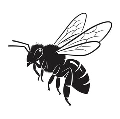 Close up Vector Illustration of a Black and White Honey Bee in Flight
