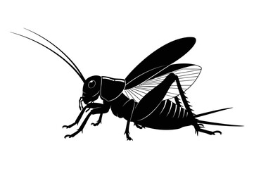 Striking Black Silhouette of a Cricket Insect Isolated on White Background