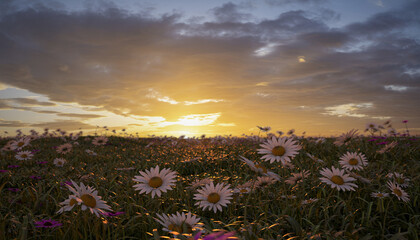 Naklejka premium A digitally rendered flowery meadow at sunset