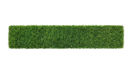 Isolated Realistic Green Grass Strip on White Background