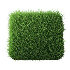 A square patch of lush green grass isolated on transparent background