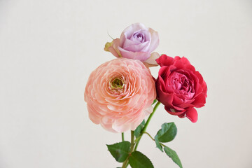 Obraz premium 薔薇とラナンキュラス