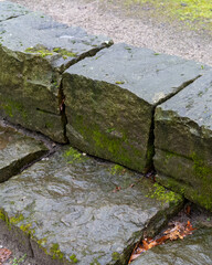 Moss-covered stones form a rugged pathway in a serene outdoor setting surrounded by nature
