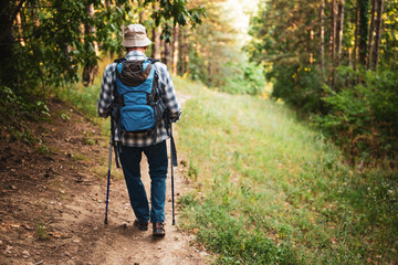 Rear view of senior hiker walking along mountain footpath with hiking poles and enjoying outdoor adventure while exploring nature.